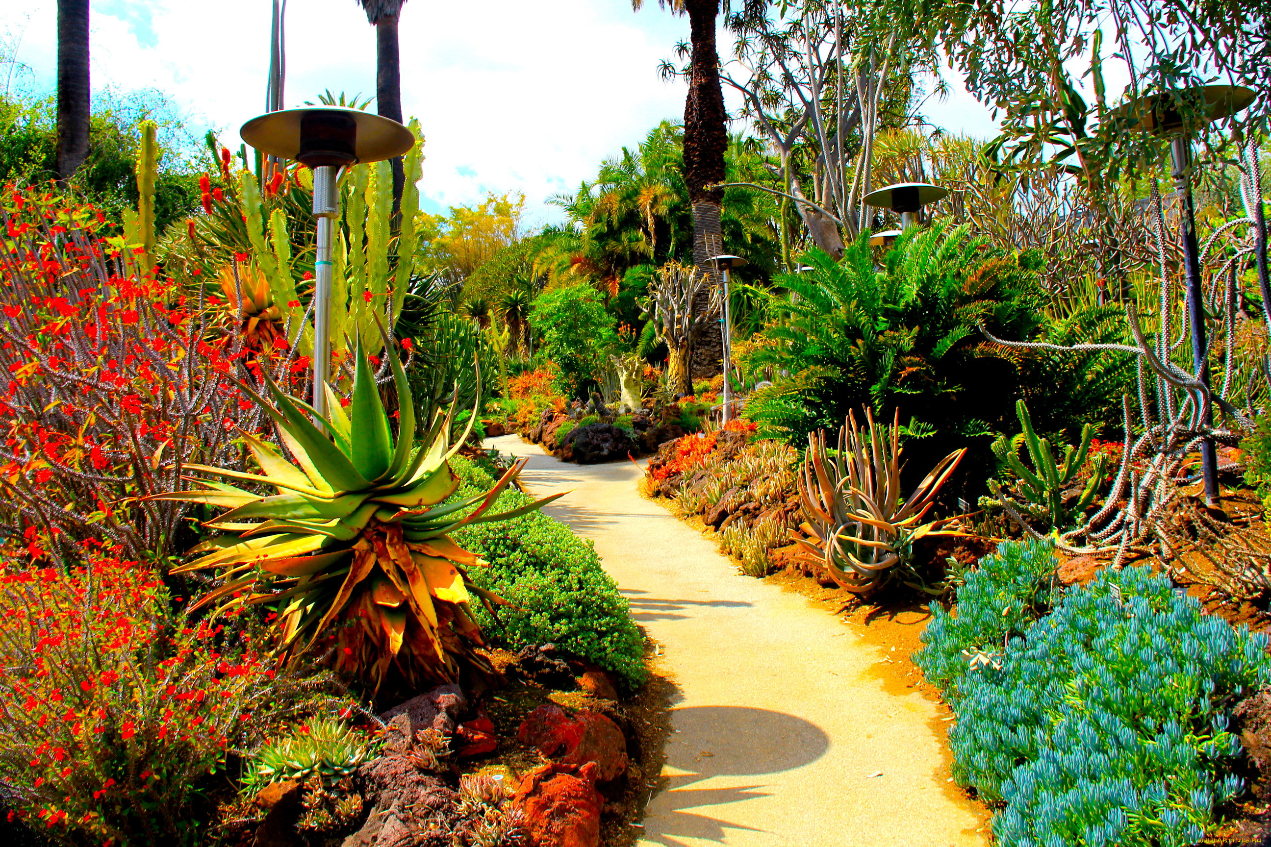 botanical, garden, san, marino, california, , , , 